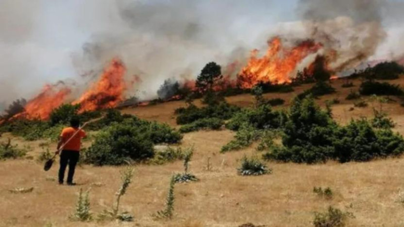 Ormanlık alanda çıkan yangın saatler sonra kontrol altına alındı