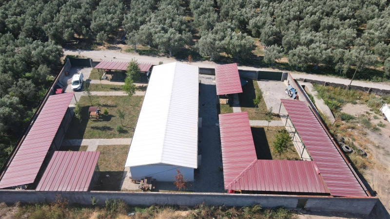 İznik'teki sokak hayvanları için tam teşekküllü merkez