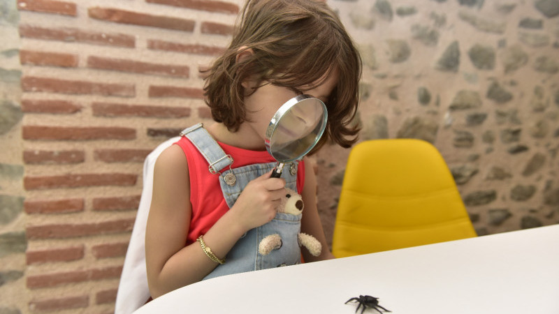 Mola Yegan Çocuk Üniversitesi'nde ders zili çaldı