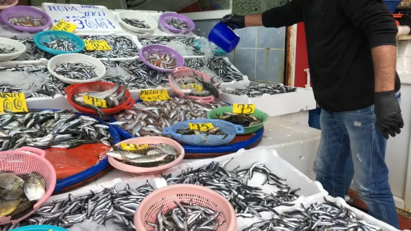 Fırtınanın ardından tezgahlar hamsiyle coştu