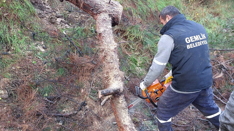 Gemlik'te felaketin yaraları sarılıyor 