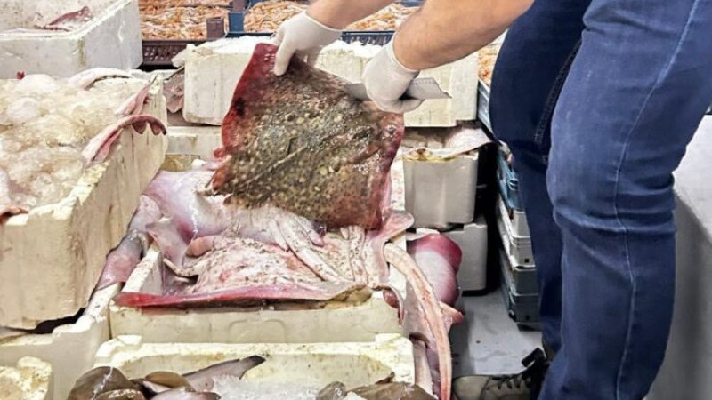 Bursa’da kaçak avcılara geçit yok