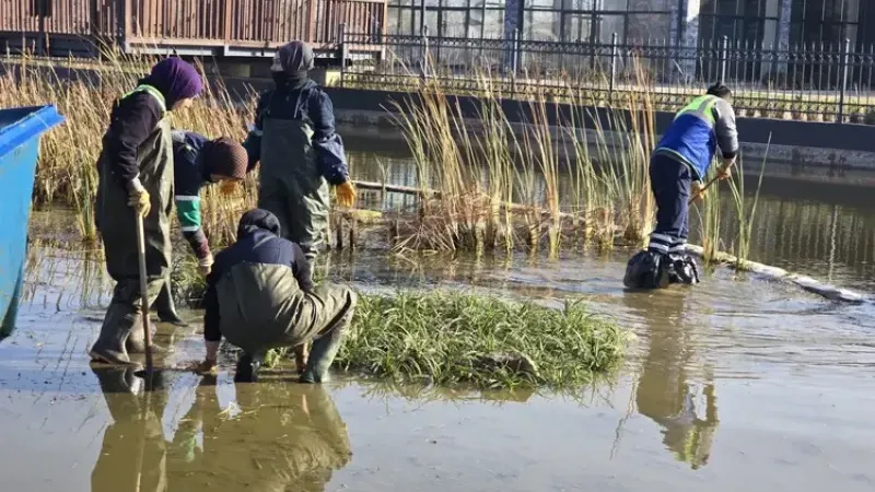 Büyükşehir’den Gökdere Millet Bahçesi’ne bilimsel dokunuş