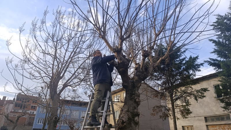 Gemlik'te çevre düzenleme çalışmaları devam ediyor