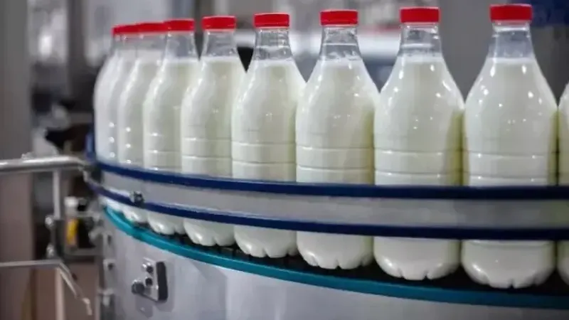 40 yıllık sütçü konkordato ilan etti!