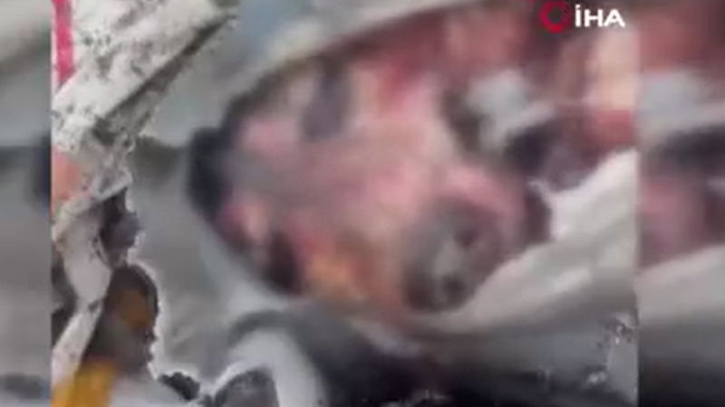 Osmangazi Belediyesi'nden hayvan katliamına açıklama: 