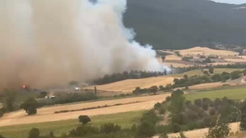 Bursa’da orman yangınına havadan ve karadan müdahale