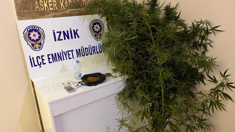 Bursa'da hint keneviri yetiştiren kişiler tutuklandı