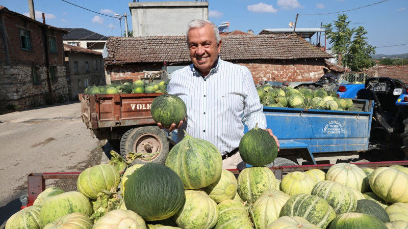 Bursa'nın ünlü Konaklı kavununda üretim iki kat arttı