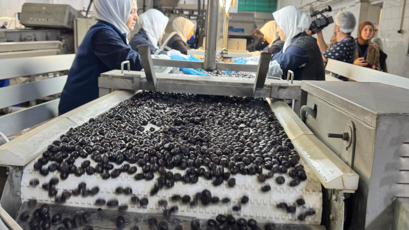 Marmarabirlik'ten yeni ürün 