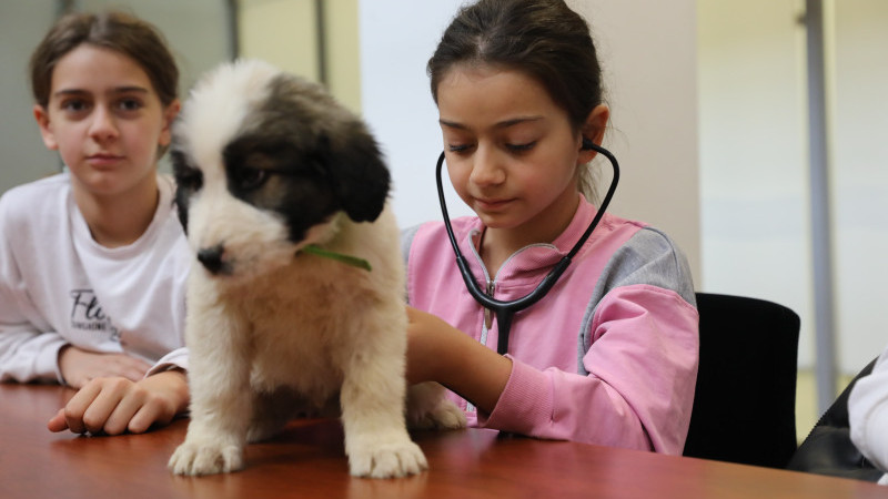 Bursa’da çocuklara hayvan sevgisini aşılayan anlamlı etkinlik