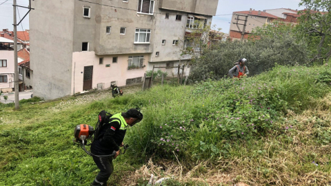 Gemlik’te bahar mesaisi