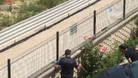 Bursa'da evin bahçesine giren yılan paniğe neden oldu