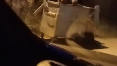 Bursa'da ayı otomobilin önüne atladı!