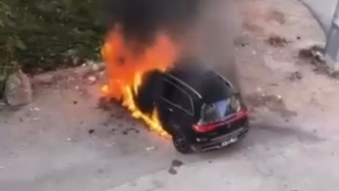 Lüks cip küle döndü