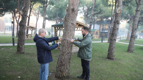 BTÜ’de orman envanterine Katkı sağlayacak proje geliştiriliyor