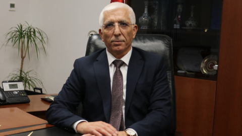 Zeytin üreticisine 800 milyon lira ödeme