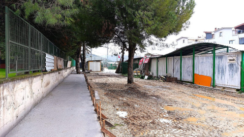 Gemlik Belediyesi patili dostlara sahip çıkıyor