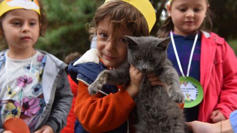 Yıldırım’da 625 patili dost sıcak yuvaya kavuştu