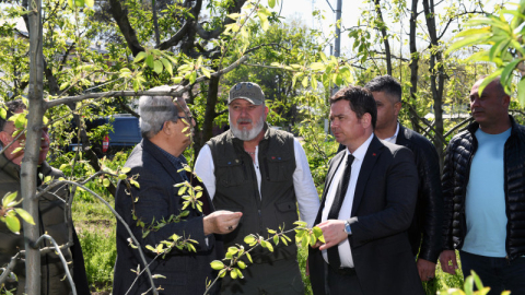 Başkan Aydın zirai don mağduru çiftçileri yalnız bırakmadı