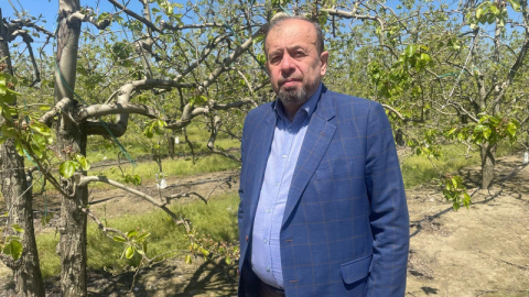 Ülkeyi vuran zirai don felaketinde Bursa'dan sevindirici haber!