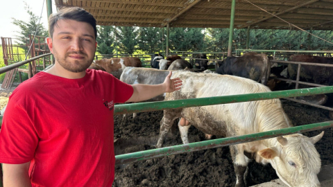 Bursa'da kurbanlık fiyatları ne durumda?