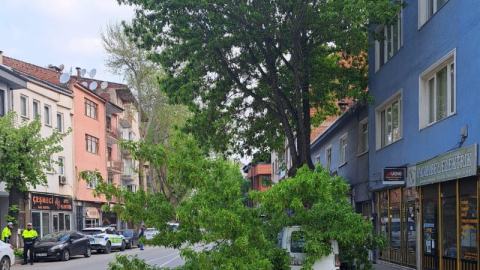 Kırılan ağaç, kamyonetin üzerine devrildi