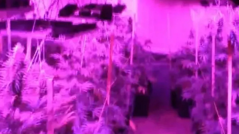 Bursa'da uyuşturucuya darbeBursa'da uyuşturucuya darbe