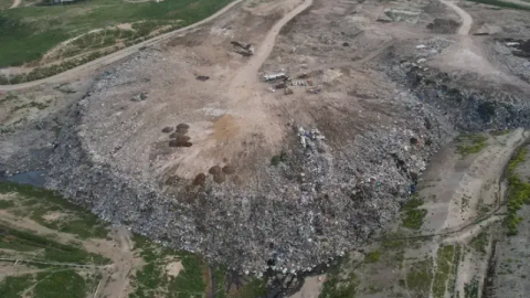 Osmangazi'deki köpek katliamına tepki