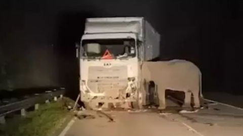 Gecenin karanlığında kahreden görüntü