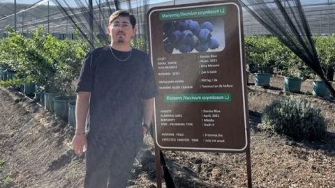 Bursa'da üniversiteli genç ölü bulundu