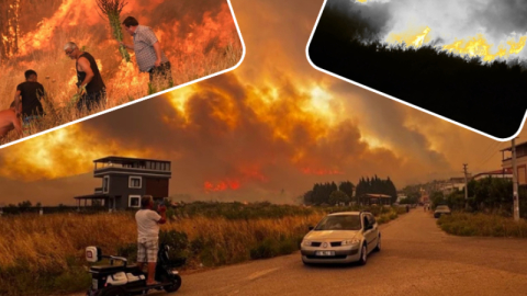 Ciğerlerimizi yakan yangınlarda son durum! 