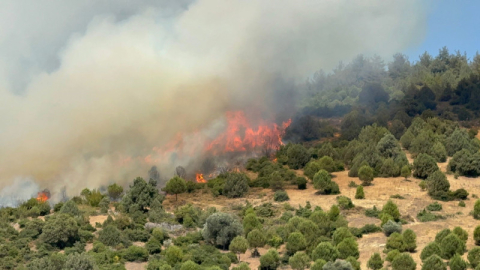 Bursa İznik'te büyük orman yangını