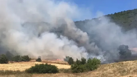 Bursa Yenişehir'de buğday tarlasında çıkan yangın ormana sıçradı
