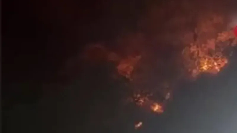 Bursa'da havai fişek atanlara ders gibi ceza: 50'şer ağaç dikecekler