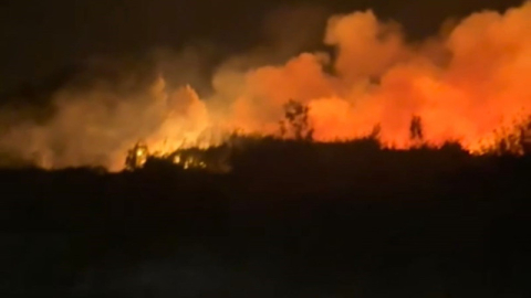 Bursa İznik’te korkutan yangın