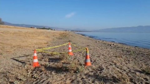 Bursa İznik Gölü kıyısında el bombası paniği
