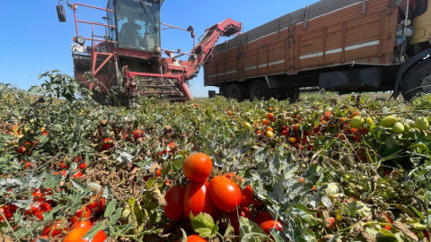 Tarımda plansızlık, üreticiyi zora sokuyor
