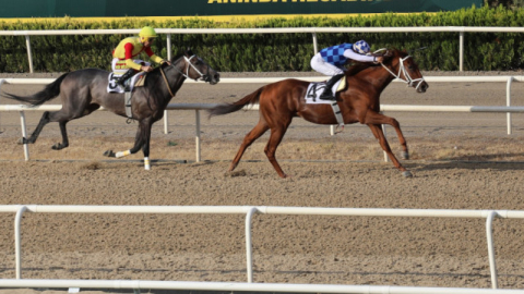 Bursa'da Büyükşehir Başkanlık koşusu