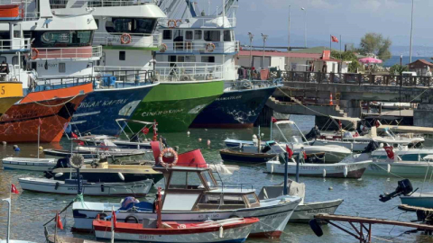 Bolluk beklentisi kışa kaldı: İşte balık fiyatları