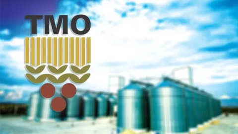 TMO'dan açıklama: O ürünün fiyatına müdahale edildi