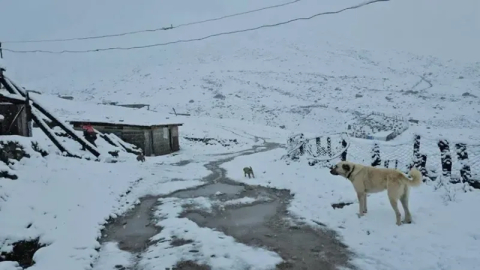 Karadeniz'de sonbaharda kar sürprizi