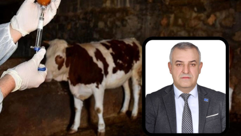 A Parti sordu:"Mustafakemalpaşa'da neden şap hastalığı engellenemedi?"