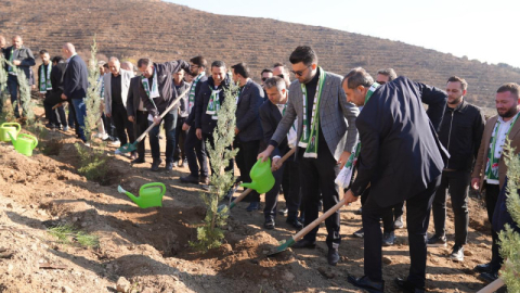 Bursaspor ve Gürsu Belediyesi el ele: Yangın bölgesine fidan dikildi