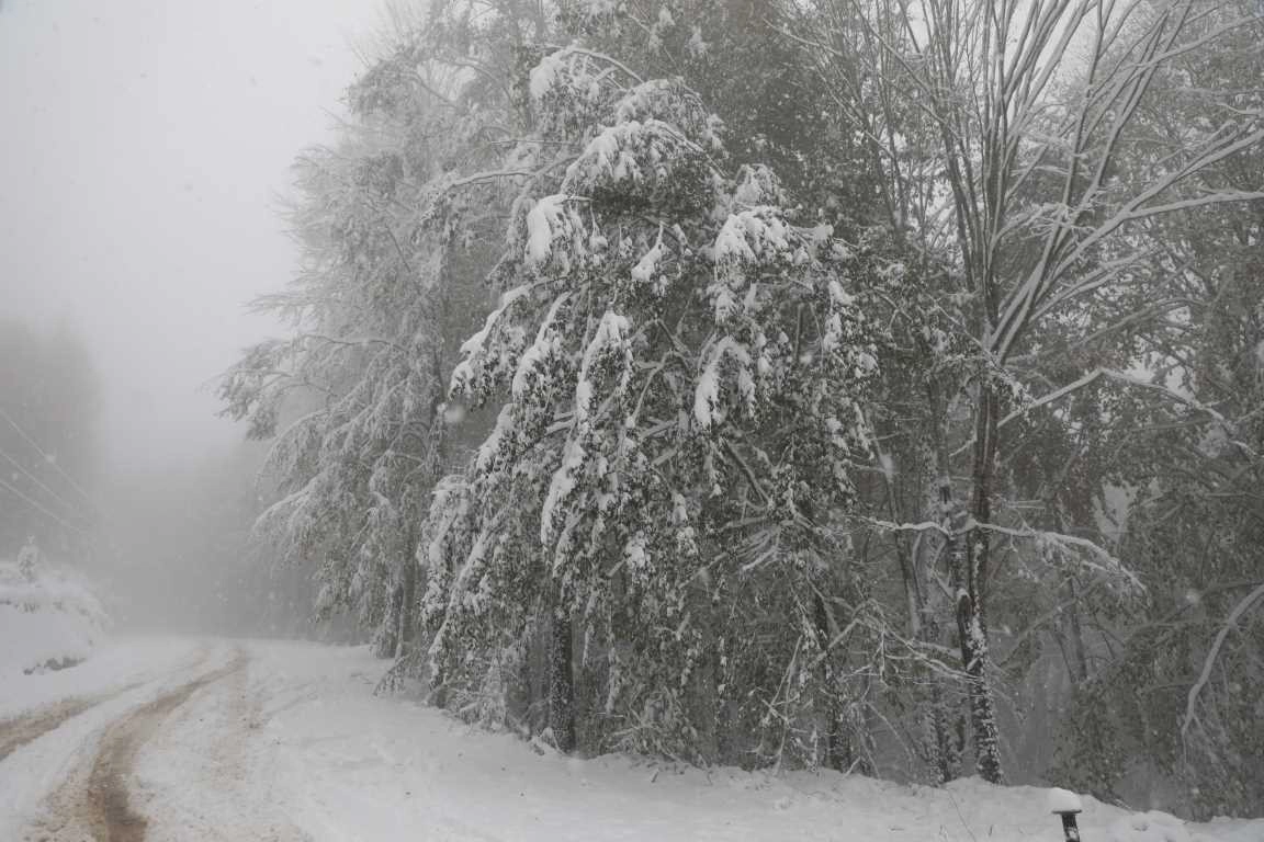 Akyazı Keramali Yaylası