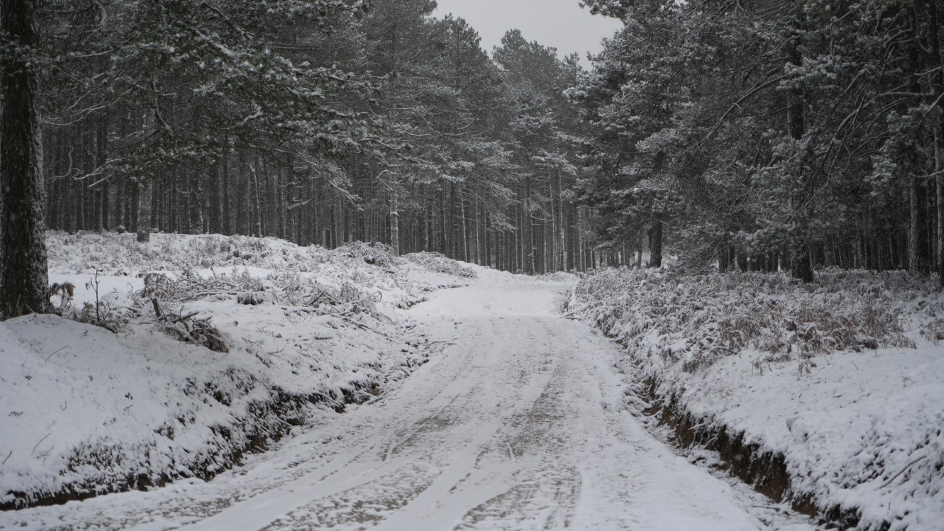 Kazdağları’nda kartpostallık görüntüler
