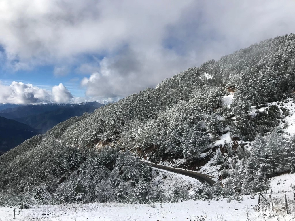 Zigana Kayak Tesislerine sezonun ilk karı yağdı