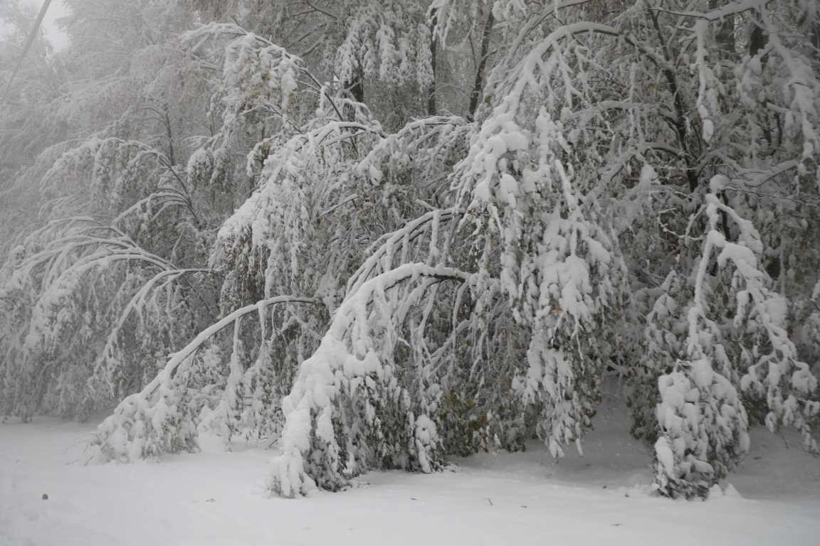 Akyazı Keramali Yaylası