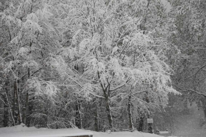 Akyazı Keramali Yaylası