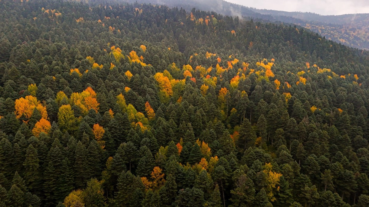 Kartpostallık görüntüler mest ediyor!..